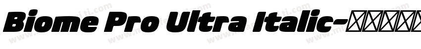 Biome Pro Ultra Italic字体转换